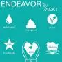 PACKT - Endeavor All-Terrain Dog Harness - Waterproof, Stinkproof, American Made PACKT - Endeavor All-Terrain Dog Harness - Waterproof, Stinkproof, American Made