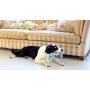 Bamboo Fat Cat Incredible Strapping Yankers Dog Toy