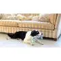 Bamboo Fat Cat Incredible Strapping Yankers Dog Toy Bamboo Fat Cat Incredible Strapping Yankers Dog Toy