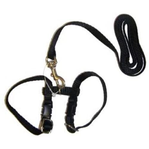 Marshall Ferret Harness and Lead