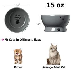 Y YHY Cat Water Bowl,Raised Cat Food Dish,Elevated Cat Bowl No Spill,Ceramic Pet Bowls for Cats or Small Dogs,Dishwasher Safe