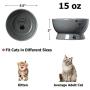Y YHY Cat Water Bowl,Raised Cat Food Dish,Elevated Cat Bowl No Spill,Ceramic Pet Bowls for Cats or Small Dogs,Dishwasher Safe