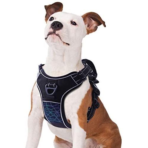 TAMOWA Dog Harness No Pull, Pet Harness with 2 Leash Clips, Adjustable Soft Padded Dog Vest and Reflective Breathable Oxford Soft Vest Easy Control Front Clip for Small Medium Large Dogs