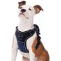 TAMOWA Dog Harness No Pull, Pet Harness with 2 Leash Clips, Adjustable Soft Padded Dog Vest and Reflective Breathable Oxford Soft Vest Easy Control Front Clip for Small Medium Large Dogs