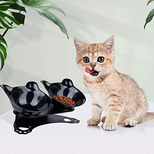 Pantula Cat Bowls - Tilted cat Food Bowls - Raised cat Food Bowl ...