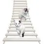La La Pet Wood Cat Bridge Ladder Cat Perch Cat Lounge Hammock Mod Cat Shelf Board Cat Climber Tree Tower Cat Condo Kitty Activity Furniture La La Pet Wood Cat Bridge Ladder Cat Perch Cat Lounge Hammock Mod Cat Shelf Board Cat Climber Tree Tower Cat Condo Kitty Activity Furniture