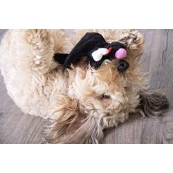 Hear Doggy!  Flattie Ultrasonic Sqeaker  Dog Toys
