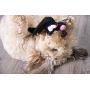Hear Doggy!  Flattie Ultrasonic Sqeaker  Dog Toys
