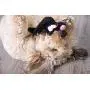 Hear Doggy! Flattie Ultrasonic Sqeaker Dog Toys Hear Doggy! Flattie Ultrasonic Sqeaker Dog Toys