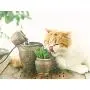 THMY Cat Water Fountains, Pet Drinking Fountain, Automatic Circulation Water Dispenser Ceramic Pet Water Fountain for Cat Dog - Dark Brown THMY Cat Water Fountains, Pet Drinking Fountain, Automatic Circulation Water Dispenser Ceramic Pet Water Fountain for Cat Dog - Dark Brown