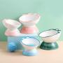 LIONWEI LIONWELI Ceramic Tilted Elevated Cat Dog Bowl Raised Cat Food Water Bowl Dish Pet Comfort Feeding Bowls
