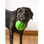 Hartz Dura Play Large Ball Dog Toy Assorted Colors (Pack of 2)