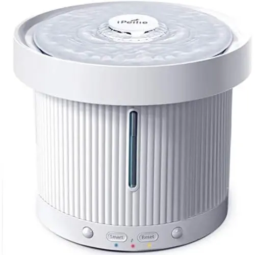iPettie Infrared Smart Cat Water Fountain, 6-Stage Filtration, Detachable Base, Automatic Pet Water Dispenser with Dual Power, Multi LED Indicator Light for Cats & Small Dogs, 54oz/1.6L