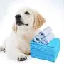 20 PCS Pee Pads - Puppy Pads XL - Wee Wee Pads for Dogs - Dog Pee Pad - Pee Pads for Dogs - Dog Pads - Puppy Pads Pet Traning Pads Training Pads for dogs Dog Pee Pads Dog Training Pad Pet Pads 20 PCS Pee Pads - Puppy Pads XL - Wee Wee Pads for Dogs - Dog Pee Pad - Pee Pads for Dogs - Dog Pads - Puppy Pads Pet Traning Pads Training Pads for dogs Dog Pee Pads Dog Training Pad Pet Pads