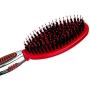 CHI for Dogs Porcupine Brush for Dogs | Best Brush for All Size Dogs | Grooming Tools for Dogs & Puppies