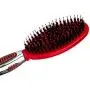 CHI for Dogs Porcupine Brush for Dogs | Best Brush for All Size Dogs | Grooming Tools for Dogs & Puppies CHI for Dogs Porcupine Brush for Dogs | Best Brush for All Size Dogs | Grooming Tools for Dogs & Puppies