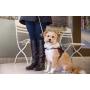 Industrial Puppy No Pull Dog Harness for Small/Large Dogs - Comfortable Dog Walking Harness for Dogs of All Breeds - Reflective Harness with Hook and Loop Straps and Handle for Less Pulling/Choking