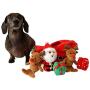 Midlee Santa Sleigh Find a Toy Christmas Dog Toy