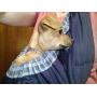 OrgMemory Pet Sling Carrier, Adjustable Dog Sling, Small Dog Cat Outdoor Shoulder Pet Carrier