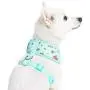 Blueberry Pet 2021 New 3 Patterns Soft & Comfy Spring Scent Inspired Floral Dog Harness Vests Blueberry Pet 2021 New 3 Patterns Soft & Comfy Spring Scent Inspired Floral Dog Harness Vests