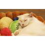 S-Lifeeling Fashion Pet Cushion Bed Detachable Updated Version Winter Plush Nest Kennel Lovely Tart Warm Comfortable Extended Dog Mat Pad Cat Mat