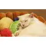 S-Lifeeling Fashion Pet Cushion Bed Detachable Updated Version Winter Plush Nest Kennel Lovely Tart Warm Comfortable Extended Dog Mat Pad Cat Mat