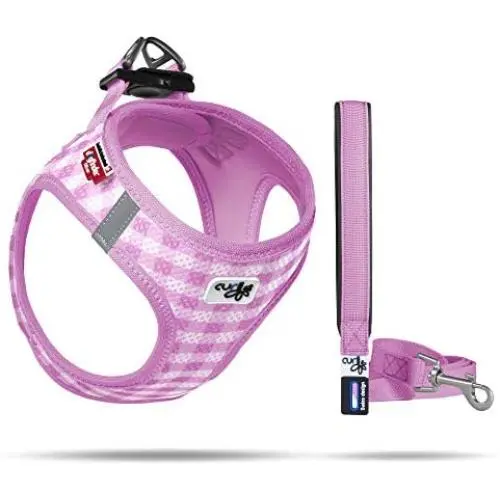 Curli Vest Harness Air-Mesh with Matching Leash Curli Vest Harness Air-Mesh with Matching Leash