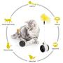 Hippie Soul Balanced Cat Toy with Ball, Interactive Toy for Cats, Catnip Cat Toy, Activity & Training, Interactive Toys for Indoor Cats Rotating Rolling Balls