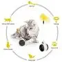 Hippie Soul Balanced Cat Toy with Ball, Interactive Toy for Cats, Catnip Cat Toy, Activity & Training, Interactive Toys for Indoor Cats Rotating Rolling Balls Hippie Soul Balanced Cat Toy with Ball, Interactive Toy for Cats, Catnip Cat Toy, Activity & Training, Interactive Toys for Indoor Cats Rotating Rolling Balls