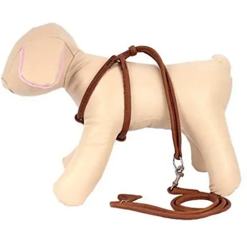 CollarDirect Rolled Leather Dog Harness Small Puppy Step-in Leash Set for Walking Pink Red White Blue Green Black Purple Beige Brown Yellow CollarDirect Rolled Leather Dog Harness Small Puppy Step-in Leash Set for Walking Pink Red White Blue Green Black Purple Beige Brown Yellow