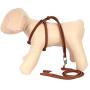 CollarDirect Rolled Leather Dog Harness Small Puppy Step-in Leash Set for Walking Pink Red White Blue Green Black Purple Beige Brown Yellow