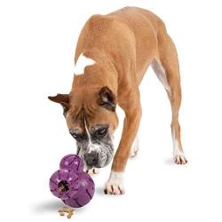 PetSafe Busy Buddy Barnacle Treat Dispensing Dog Toy