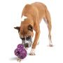 PetSafe Busy Buddy Barnacle Treat Dispensing Dog Toy