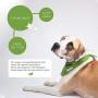 Earth Rated Dog Wipes, Plant-Based and Compostable Wipes for Dogs, USDA-Certified 99 Percent Biobased, Hypoallergenic, 8x8 Deodorizing Grooming Pet Wipes for Paws, Body and Butt