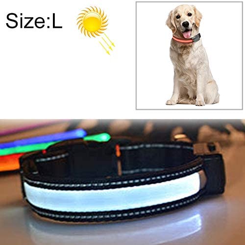 Chenyouwen Pet Toys Great Medium and Large Dog Pet Solar + USB Charging LED Light Collar, Neck Circumference Size: L, 50-60cm(Orange) (Color : White) Chenyouwen Pet Toys Great Medium and Large Dog Pet Solar + USB Charging LED Light Collar, Neck Circumference Size: L, 50-60cm(Orange) (Color : White)