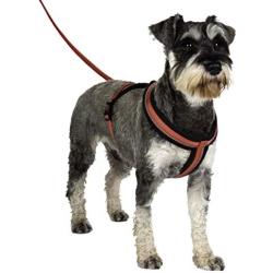 The Company of Animals Halti Comfy Harness Red Medium