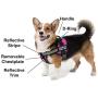 Dogline Unimax Dog Harness Vest with Agility Dog Patches Adjustable Straps Breathable Neoprene for Identification Training Dogs