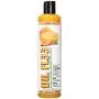 Kelco 50:1 Dr. FL33 Shampoo Kelco 50:1 Dr. FL33 Shampoo