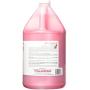 All Systems Clearly Illuminating Shampoo Gallon
