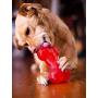 Ethical Pets SPOT Play Strong Medium Bone 5.5” | Dog Toys For Aggressive Chewers | Indestructible Dog Toys | Bone | Chew Toys For Aggressive Dogs | Interactive Dog Toy | Dog Chew Toys For Aggressive Chewers, Red (54004)