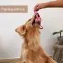 Puppy Rope Dog Toy, Non Squeaky Ball Chew Tug Toy Set for Small/Medium Breed Dog Playtime Puppy Rope Dog Toy, Non Squeaky Ball Chew Tug Toy Set for Small/Medium Breed Dog Playtime