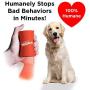ShakeTrainer - The Original Premium & Complete Humane Dog Training Kit with Instructional Video - Stops Your Dogs Bad Behaviors in Minutes Without Shocking or Spraying - Easy to Use