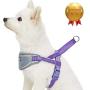 Blueberry Pet 8 Colors Soft & Comfortable 3M Reflective Strips Nylon Neoprene Padded Training Dog Harness