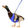 YUEPET Adjustable Chicken Harness with Leash Elastic Comfortable Breathable Pet Harness for Duck Goose Hen Traning Walking,Small