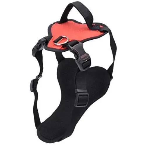 Coastal Pets Inspire Harness 5/8'' x 20''-30'' Inspire Red Coastal Pets Inspire Harness 5/8'' x 20''-30'' Inspire Red