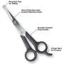Pets First Pet Grooming Scissors - Body & Facial Trimmer, Stainless Steel Blades - Round Tip Shears for Long, Medium, Short, Thick, Wiry, Curly Hair - Lightweight Cutter for Dogs & Cats - Set of 2