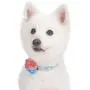 Blueberry Pet 5 Patterns Made Well Floral Dog Collars