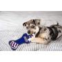 Pets First NFL New York Giants Dental Dog TUG Toy with Squeaker. Tough PET Toy for Healthy Fun, Teething & Cleaning Pets Teeth & Gum, Team Color, one Size (NYG-3310)