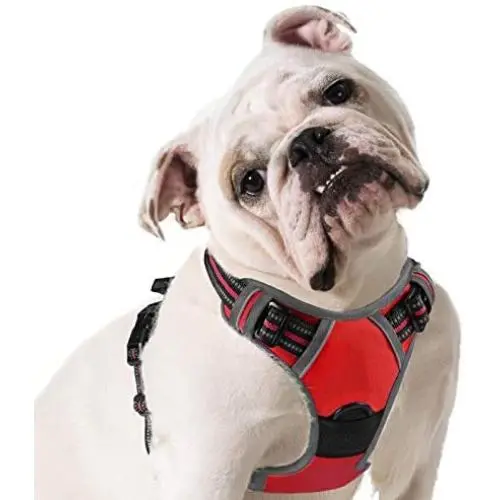 Eagloo Dog Harness No Pull, Walking Pet Harness with 2 Metal Rings and Handle Adjustable Reflective Breathable Oxford Soft Vest Easy Control Front Clip for Small Medium Large Dogs Eagloo Dog Harness No Pull, Walking Pet Harness with 2 Metal Rings and Handle Adjustable Reflective Breathable Oxford Soft Vest Easy Control Front Clip for Small Medium Large Dogs