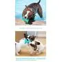 BXZ Dog Toys Dog Toothbrush Dog Chew Toy Dog Teeth Cleaning Dog Toothbrush Apply to Pet Dogs Brush Your Teeth Stick/Blue BXZ Dog Toys Dog Toothbrush Dog Chew Toy Dog Teeth Cleaning Dog Toothbrush Apply to Pet Dogs Brush Your Teeth Stick/Blue